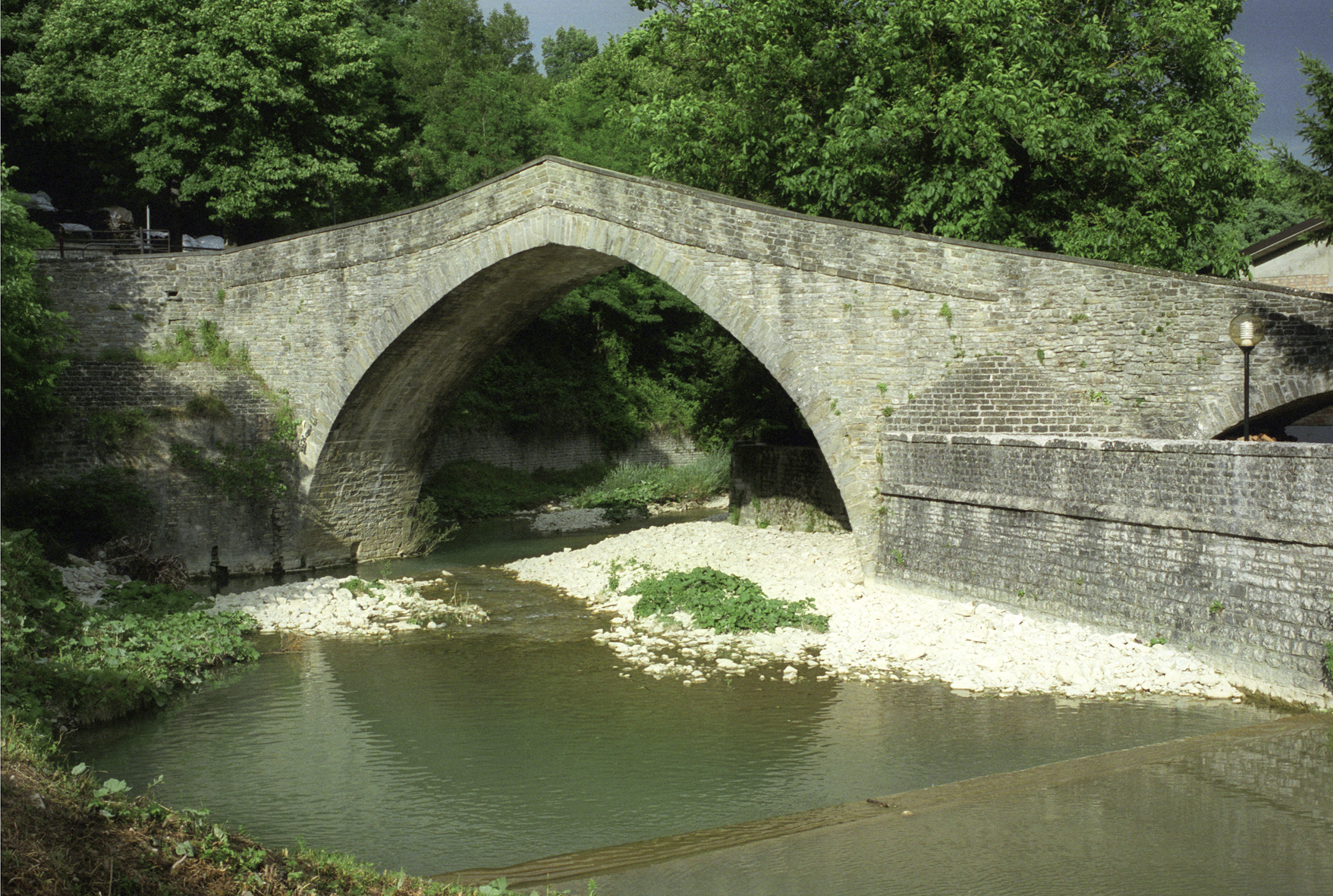 Tartufo delle Marche attraverso i suoi borghi | PaesiOnLine